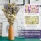 Dried Lavender & Baby's Breath Flowers Bundles, 2 Bunches Dried Flower Bouquet for Vase, Natural Gypsophila, Valentines Day Decor Present, Home, Wedding, Photography, Floral Arrangement, DIY